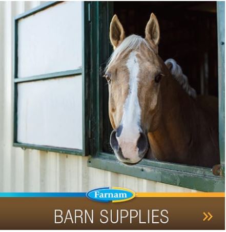 Farnam Super 14 Healthy Skin & Coat Supplement for Horses, Keeps Coats Shiny & Gleaming Year-Round 2.75 Pound, 44 Day Supply