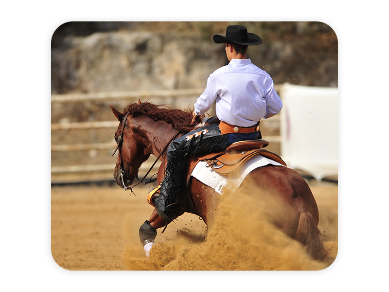 Formula 707 Calming Supplement for Horses, 10 lb, 80 Servings – Focus Aid
