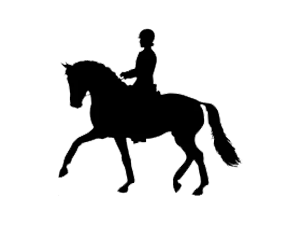 Formula 707 Calming Supplement for Horses, 10 lb, 80 Servings – Focus Aid