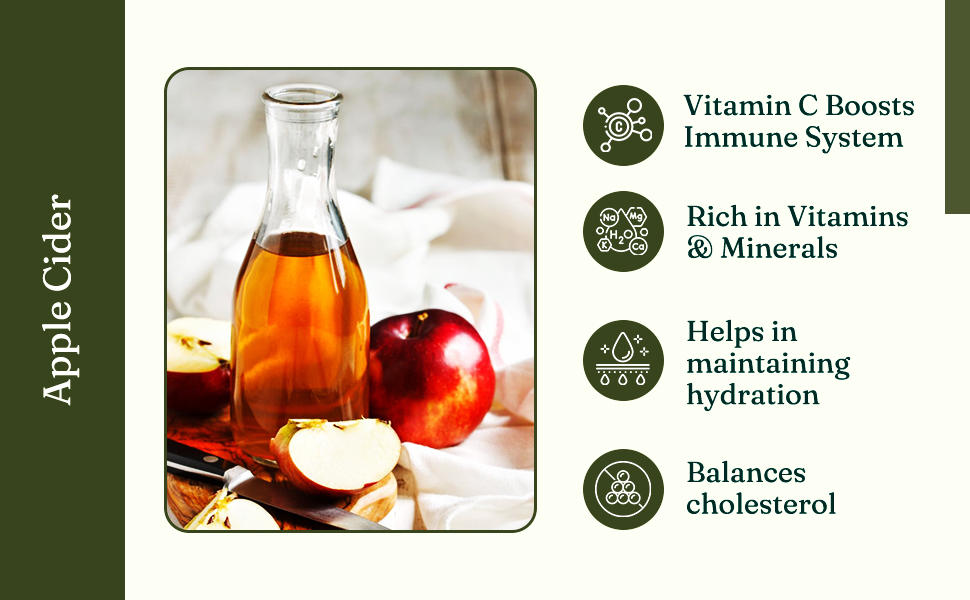 Vamnaya Tulsi Green Coffee | Daily Wellness Drink Powder | 500mg Chlorogenic Acid, L-Theanine, Sunfiber® | Weight Management, Immunity and Focus | No Sweetener | 15 Sachets