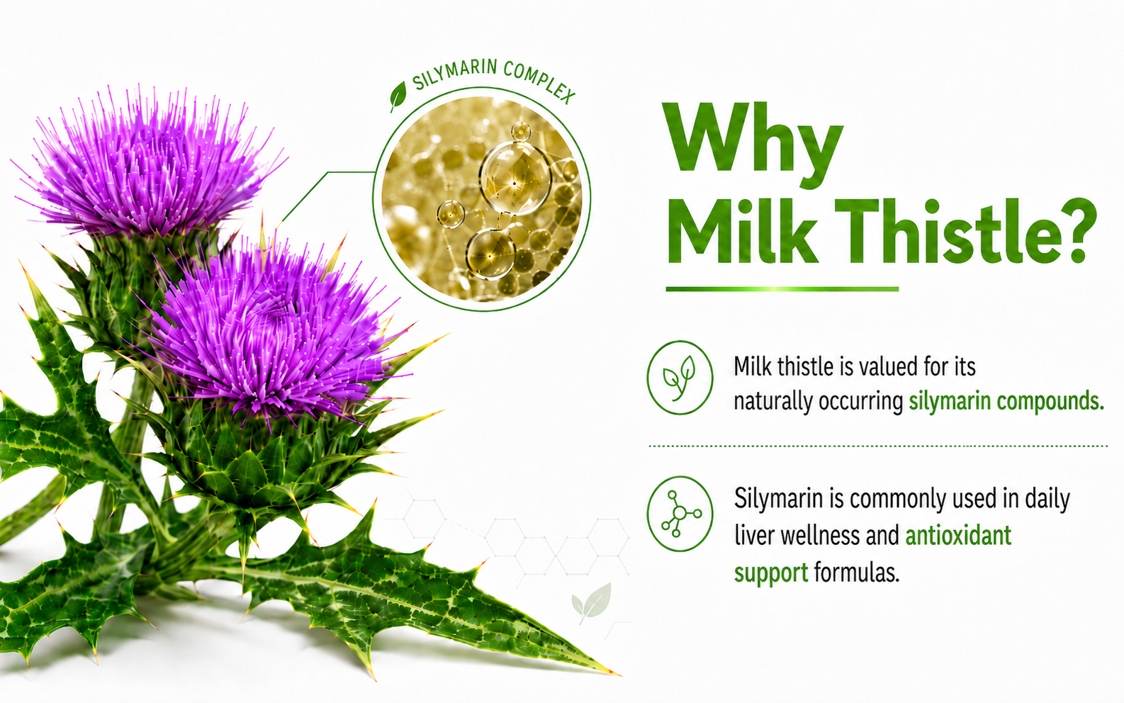 Milk Thistle Extract 500 mg, 90% Silymarin, 120 Vegan Capsules