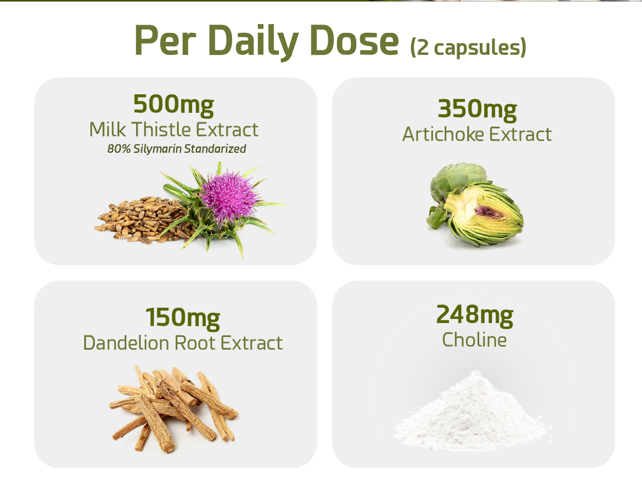 FürstenMED Milk Thistle with Artichoke Extract, Dandelion Root & Choline - Normal Liver Health Supplement - Highly Dosed with 80% Silymarin - Vegan Liver Support - 120 Non-GMO Capsule