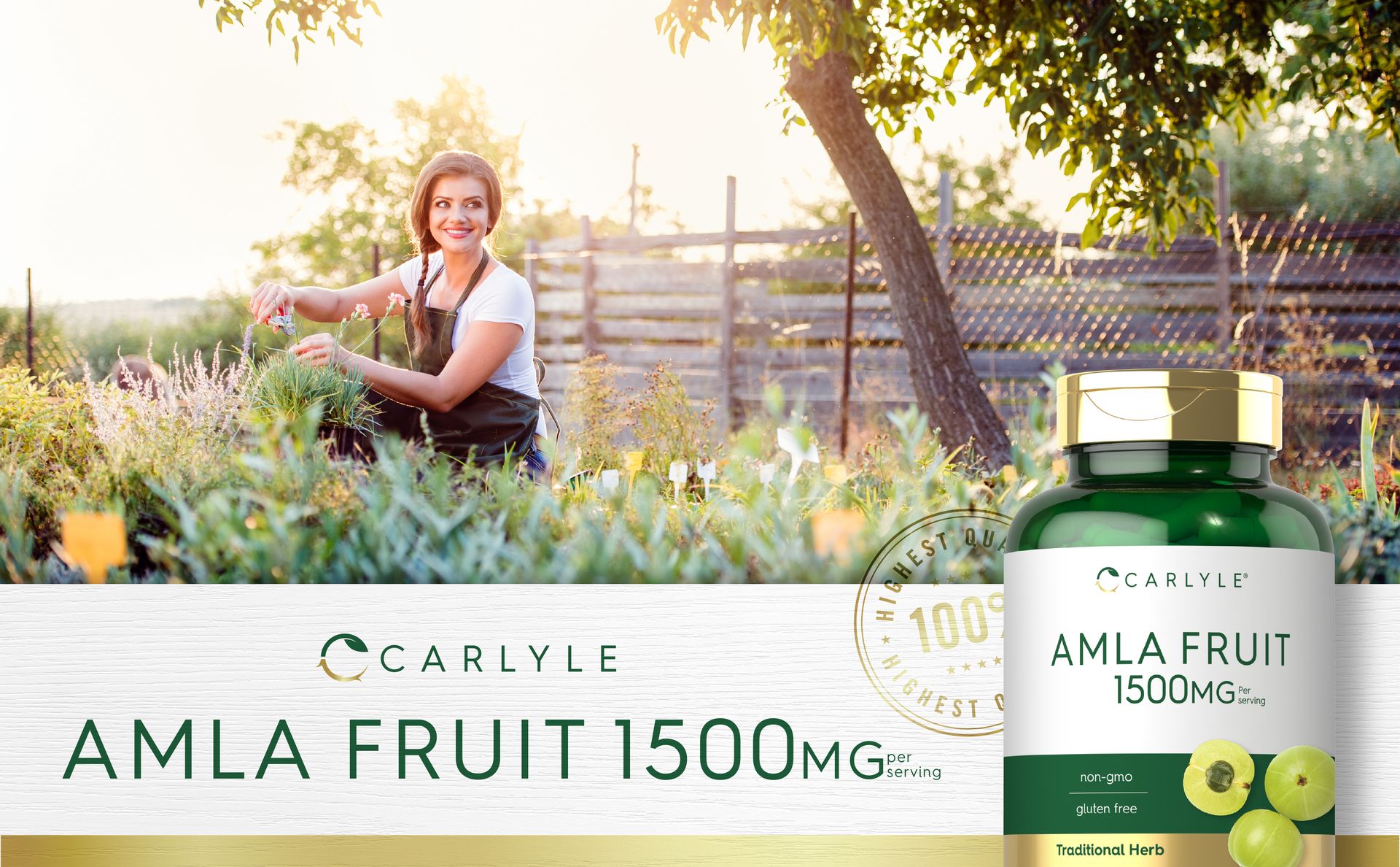Carlyle Amla Capsules 1500mg | 120 Count | Amalaki Fruit