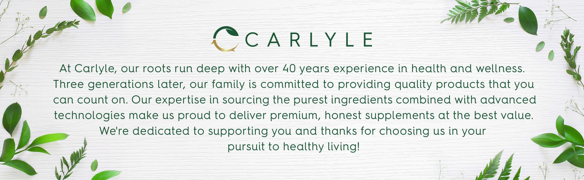Carlyle Amla Capsules 1500mg | 120 Count | Amalaki Fruit