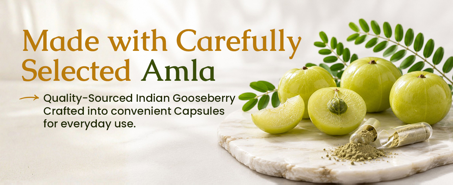 Amla Capsules (Phyllanthus Emblica) – Amalaki amla 120 Capsules | Natural Antioxidants Superfood | Herbal Supplement Made with Organic Amla Fruit Powder