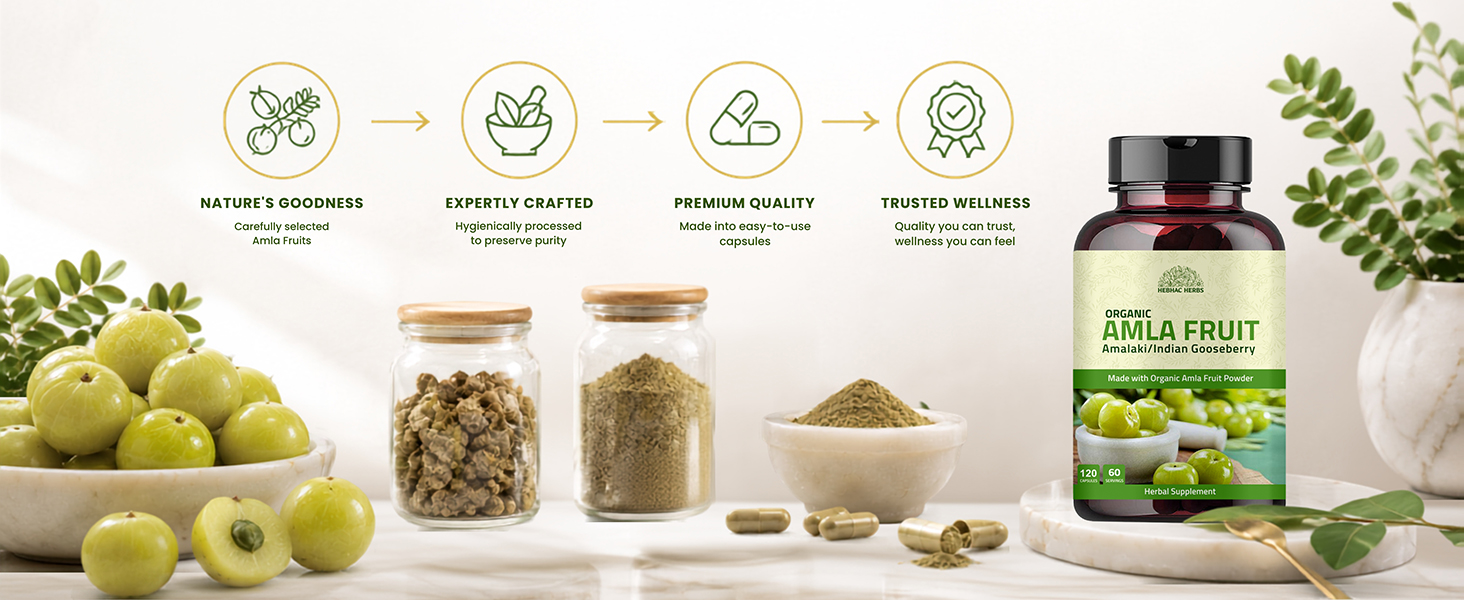 Amla Capsules (Phyllanthus Emblica) – Amalaki amla 120 Capsules | Natural Antioxidants Superfood | Herbal Supplement Made with Organic Amla Fruit Powder