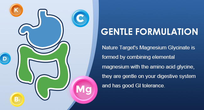 NATURE TARGET Magnesium Glycinate 500 mg with Zinc, 120 Vegan Capsules
