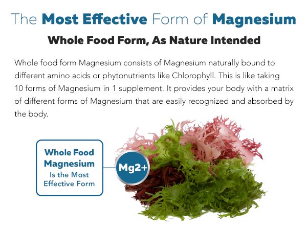 Organic Whole Food Magnesium Supplement - Plant-Based, Organic Sea Vegetable Complex - 250 mg Per Serving | Water Extracted | Gentle on Stomach | Supports Energy, Sleep, Muscle, Heart - 60 Capsules