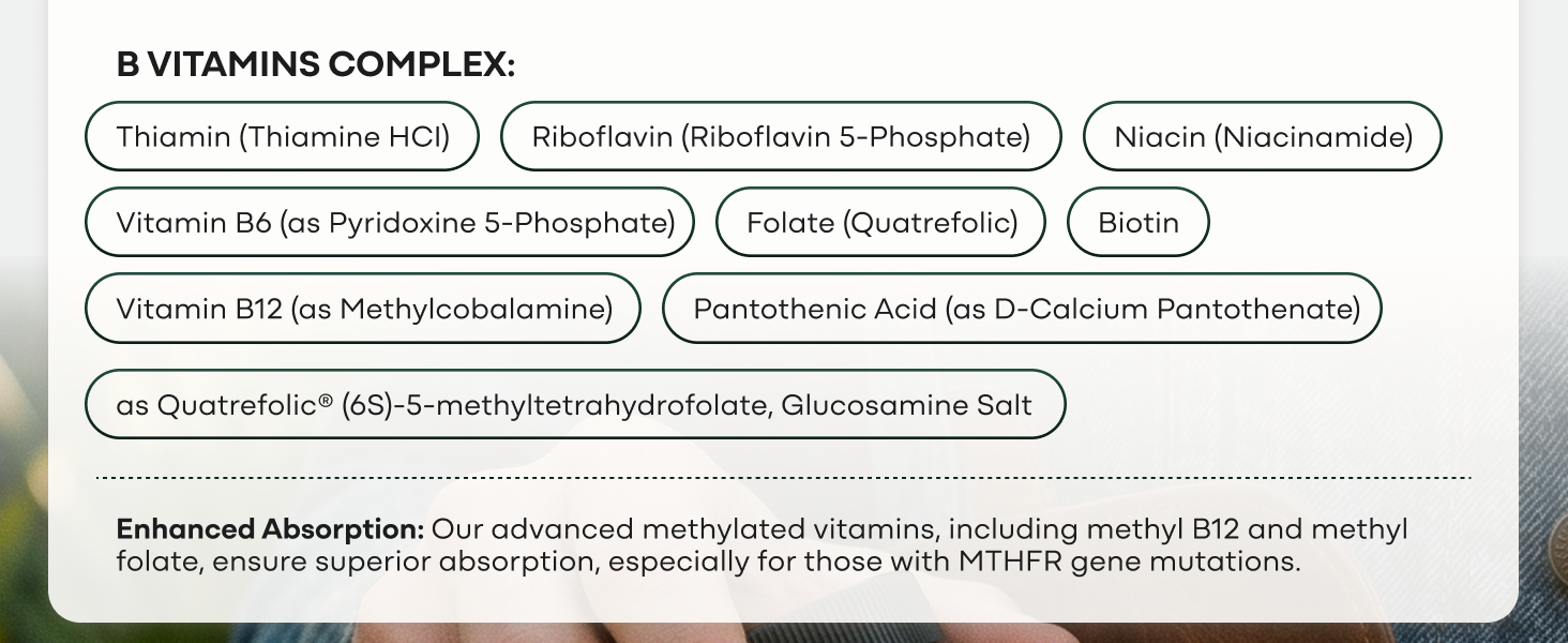 Wild Methylated Multivitamin for Men & Women, MTHFR Supplement, 60 Capsules