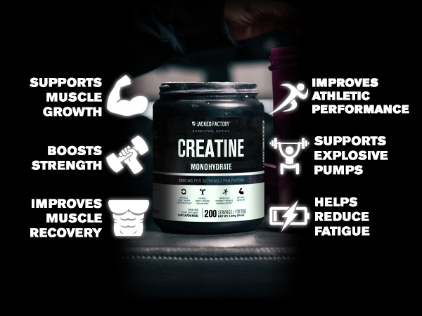 Jacked Factory Creatine Monohydrate Powder 150g - 5g Daily Micronized Creatine Monohydrate for Men and Women, Vegan-Friendly, Third-Party Tested - 30 Servings, Unflavored