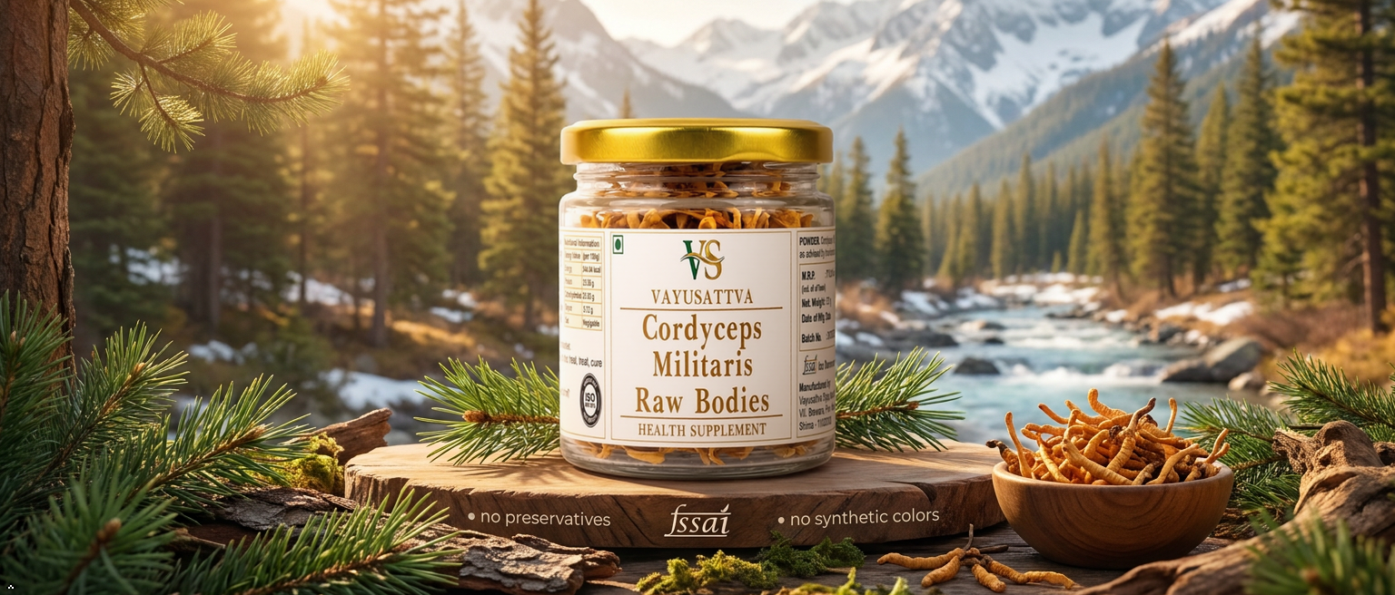 Kida Jadi Buti Original, Cordyceps Militaris Dried Raw Mushroom | Himalayan Keeda Jadi | Energy, Endurance & Immunity Booster | Herbal Supplement | 30gms Pack of 1