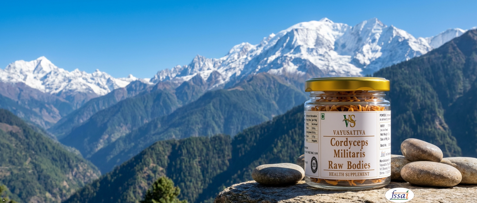 Kida Jadi Buti Original, Cordyceps Militaris Dried Raw Mushroom | Himalayan Keeda Jadi | Energy, Endurance & Immunity Booster | Herbal Supplement | 30gms Pack of 1
