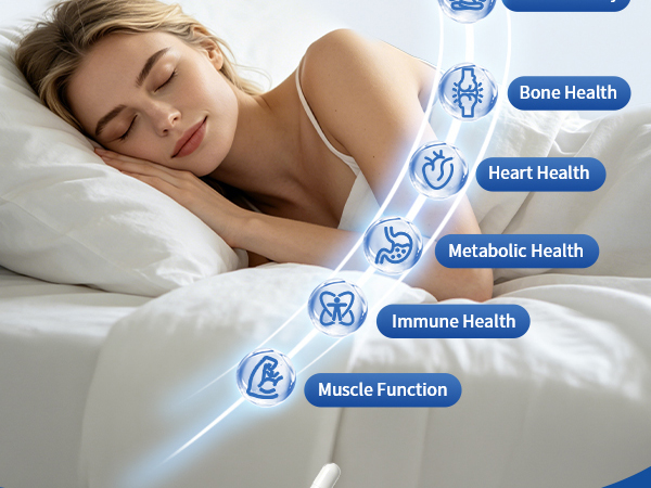 Magnesium Glycinate 500mg – NSF Certified – with B6 & B12, for Sleep, Relaxation & Muscle Support – Gentle on the Stomach for Men & Women – 60 Capsules