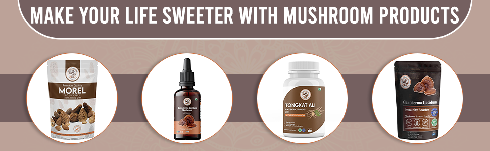 Ganoderma Mushroom Liquid Extract 50ml - Reishi Mushroom Immune Support and Stress Relief - Alcohol-Free Herbal Supplement