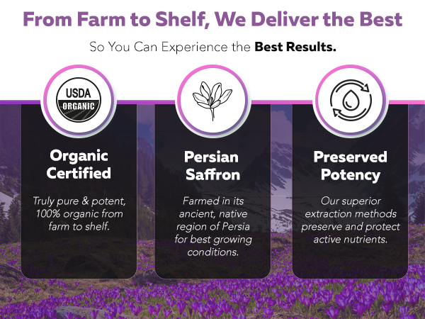 Organic Saffron Extract Optimized with Safromotivines, Safranal and Crocins