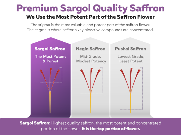 Organic Saffron Extract Optimized with Safromotivines, Safranal and Crocins