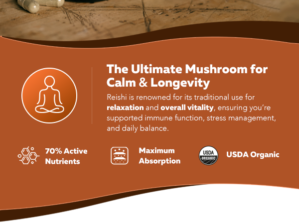 Organic Reishi Mushroom Capsules - Max Potency 70% Beta Glucans Extract
