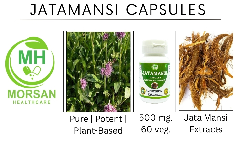 Jatamansi Capsules 500mg – 60 Count | Vegetarian | Plant-Based | Herbal Supplement | No Artificial Additives | Gluten-Free | Organic (pack of 1)
