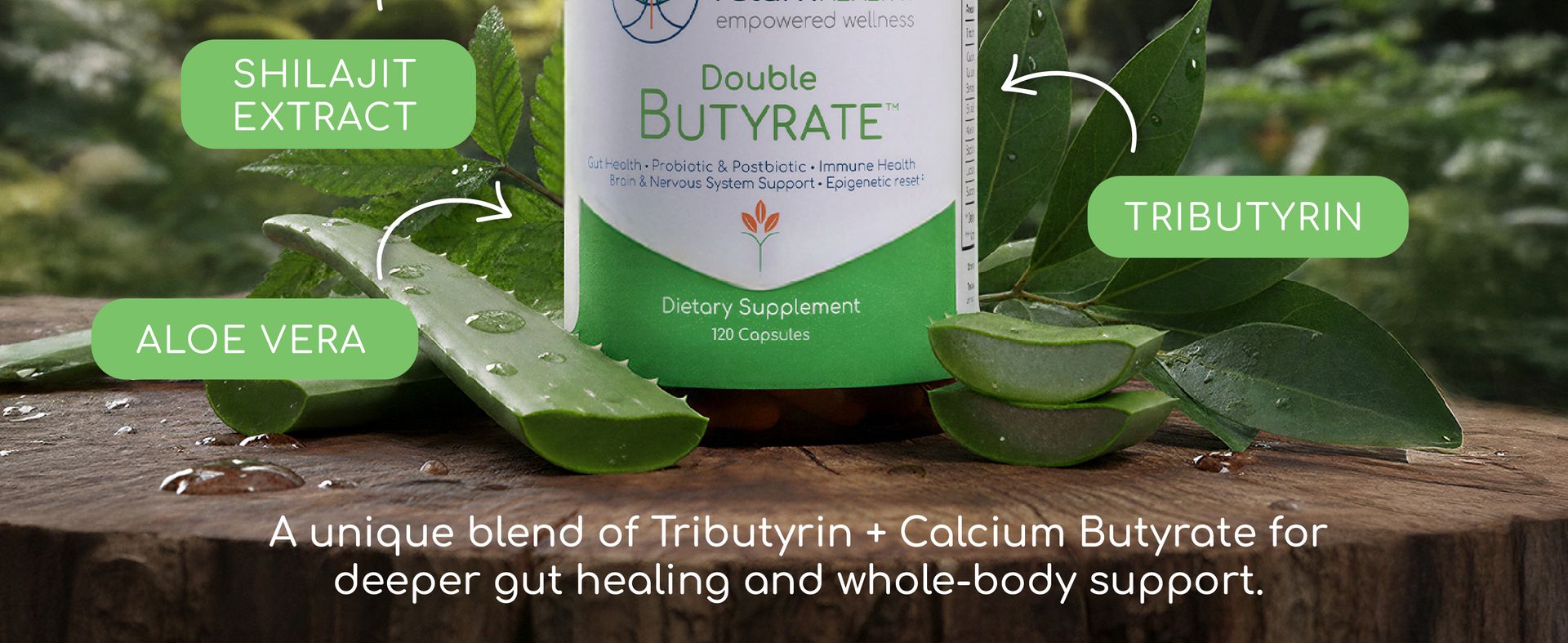 Double Butyrate Gut Health Supplement | Probiotic & Postbiotic Digestive Supplements for Gut Support | Enhances Immune, Brain, & Nervous System Function | Odor-Free Formula | 120 caps