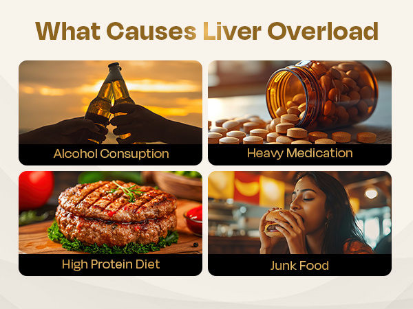 Auric Liver Detox Effervescent Tablets | Supports Fatty Liver Management & Liver Health | 9 botanical extract blend with Milk Thistle (Silymarin), Turmeric, Ginger & Licorice | Indian blackberry flavour | 100 Tablets