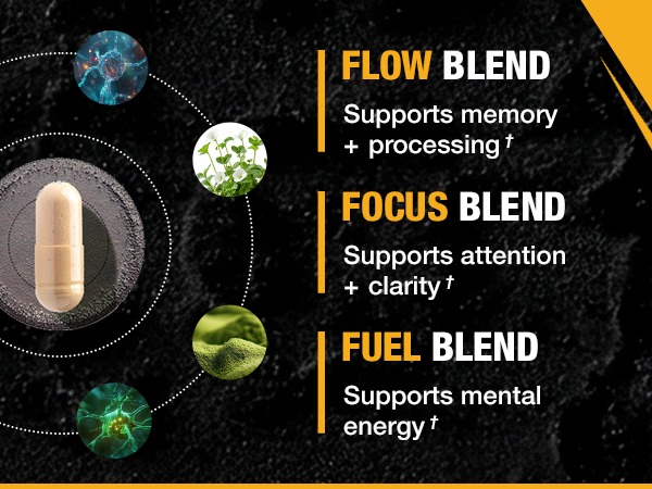 ONNIT Alpha Brain Nootropic Brain Supplement for Focus & Memory, 30 Count