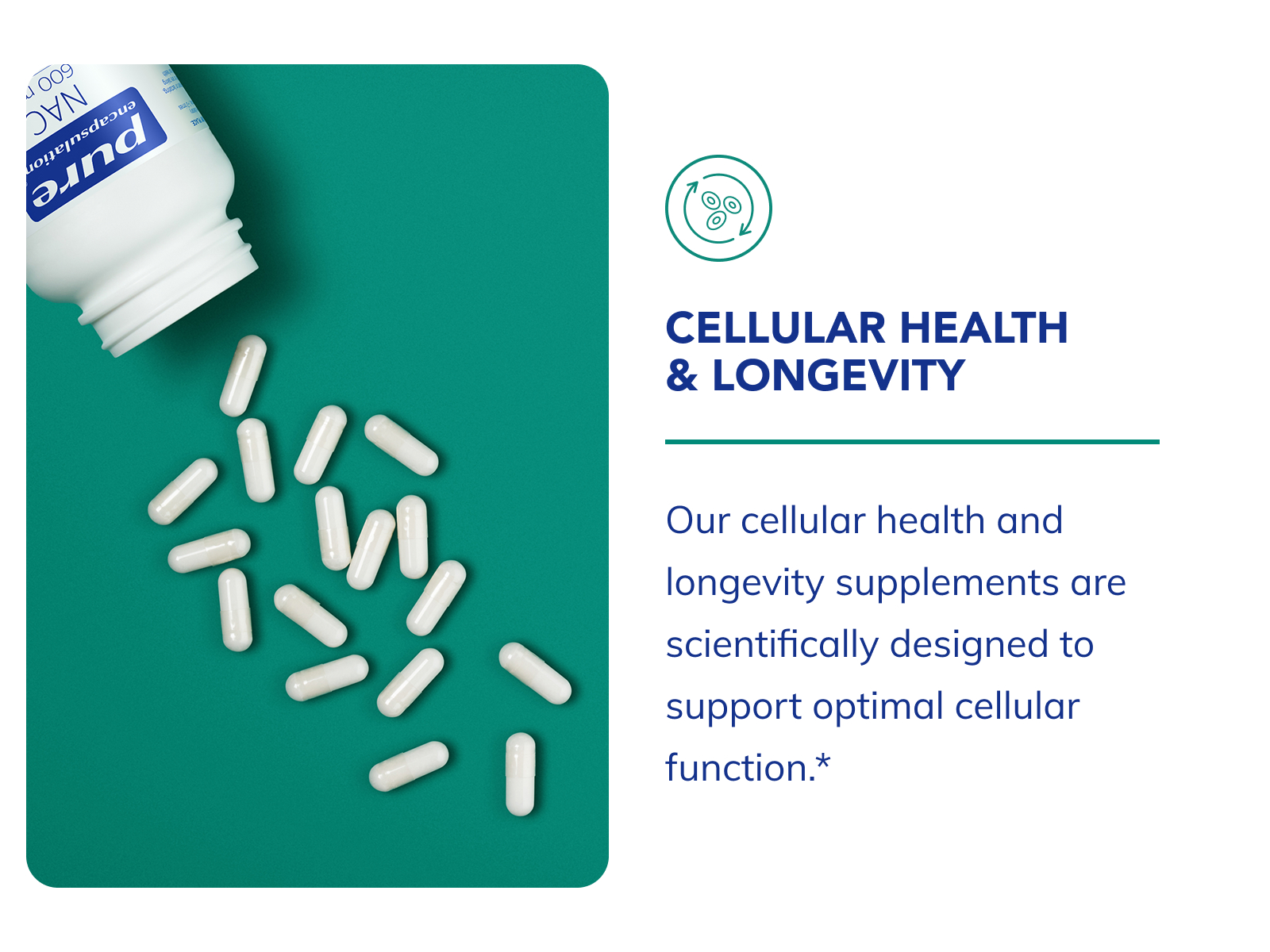Pure Encapsulations Renual, 60 Caplique Capsules