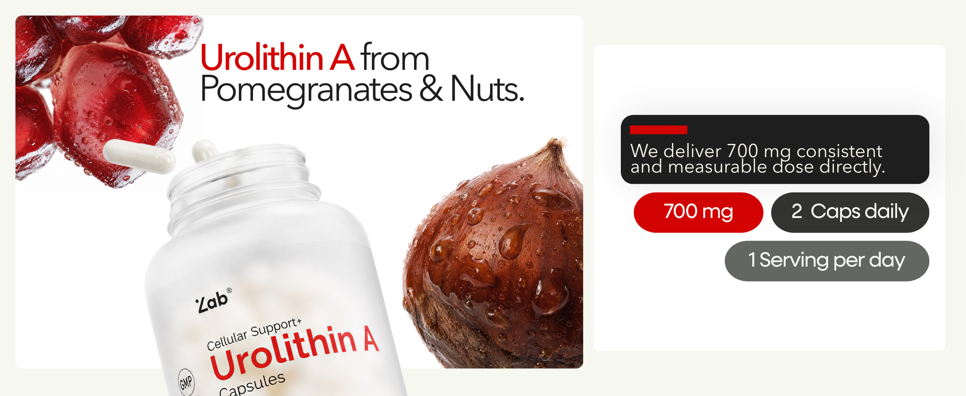 ZAB Urolithin A Supplement 700mg Per Serving, 90 Capsules, 45 Servings