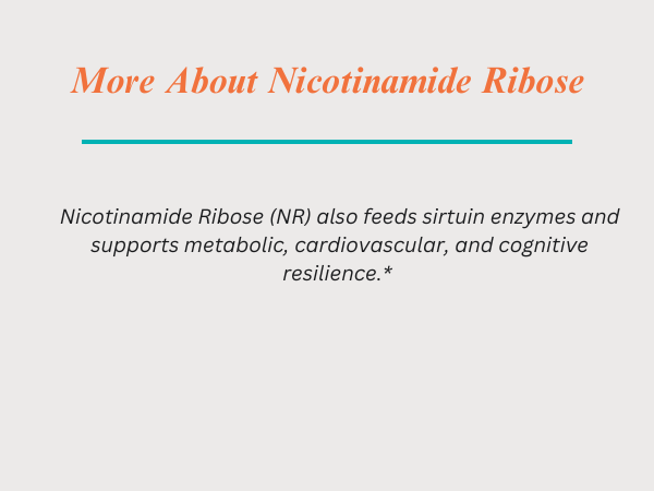Source Naturals NR, Nicotinamide Riboside, 300 mg - 30 Vegan Capsules