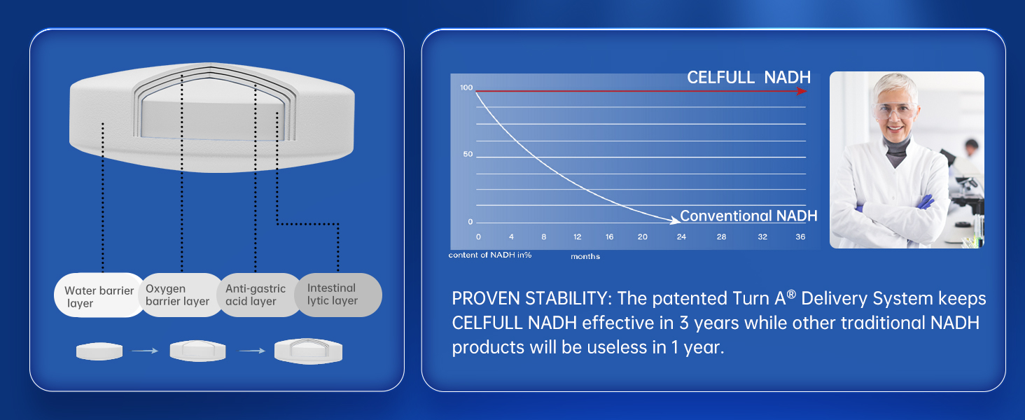 CELFULL NADH Supplement NMN Alternative NAD+ Supplement for Immune Support Anti-Aging Boost Brain Cognition & Chronic Fatigue Supplements