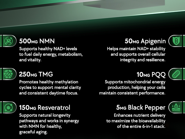 NMN Supplement 500mg - NAD Real Supplement with Resveratrol 6-in-1 Complex