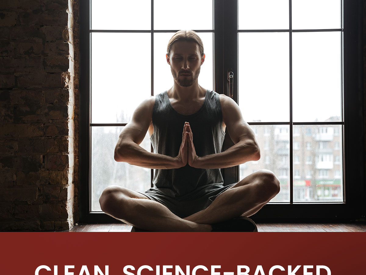 Vegan Mitochondrial Support – Advanced Cellular Wellness & Natural Energy Formula with CoQ10, PQQ, Acetyl-L-Carnitine, Alpha-Lipoic Acid, Magnesium, BioPerine® - Daily Support (60 Capsules)