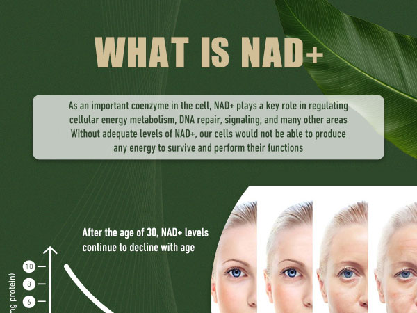 Airboy NAD+ Supplement, Liposomal Nicotinamide Riboside 900 mg with Resveratrol & Quercetin, NMN Supplement Alternative, Third-Party Tested, Anti-Aging, Energy, Focus- 80 Count