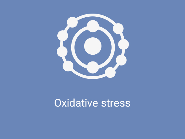 Life Extension Optimized Resveratrol Elite, Healthy Aging, 60 Capsules