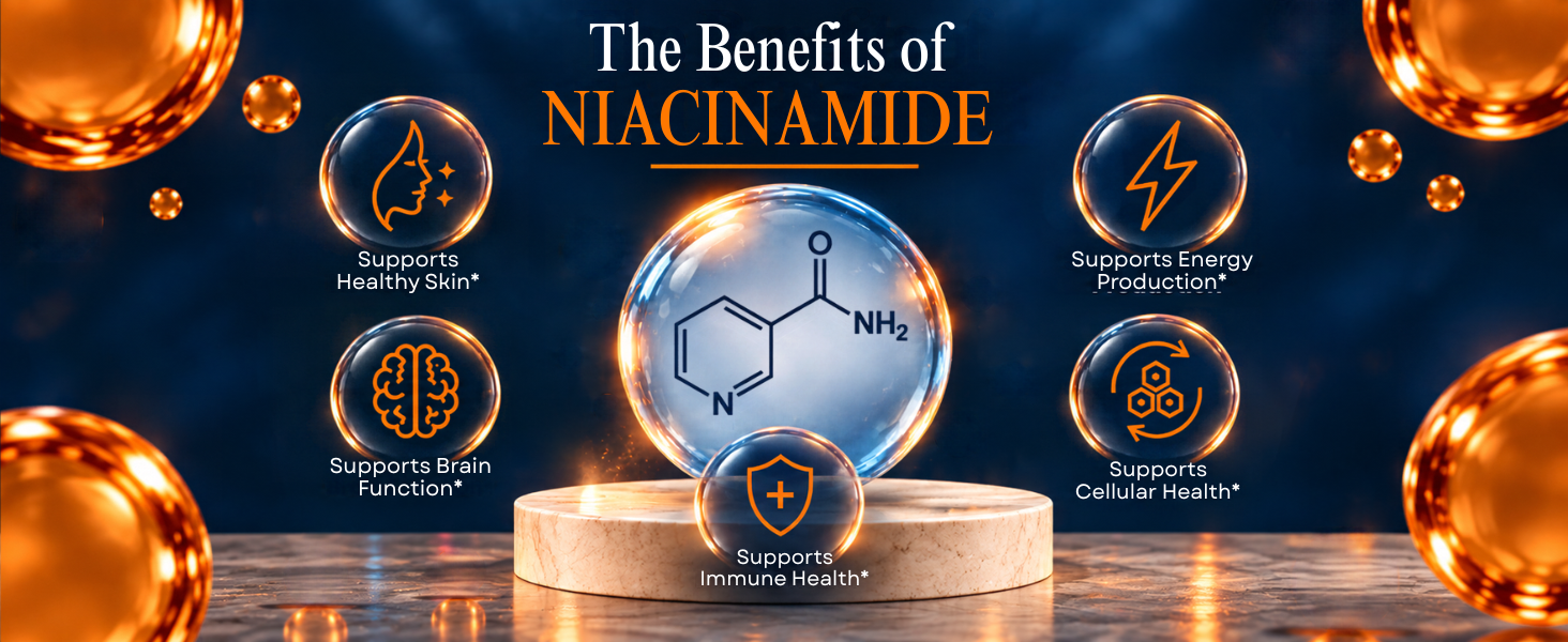 Vitamatic Niacinamide 500 mg 240 Tablets - Flush Free Vitamin B3 - Supports Energy Production