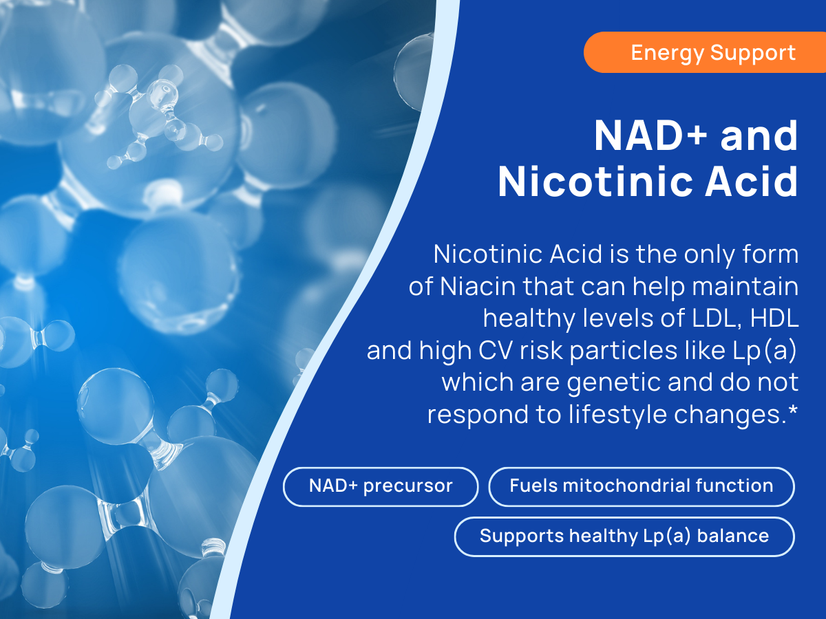 Niacin 500mg Extended Time Release, 200 Tablets, Minimal to No-Flush, Vitamin B3 Supplement - Cholesterol Balance, Nicotinic Acid Vegan, cGMP, made in the USA