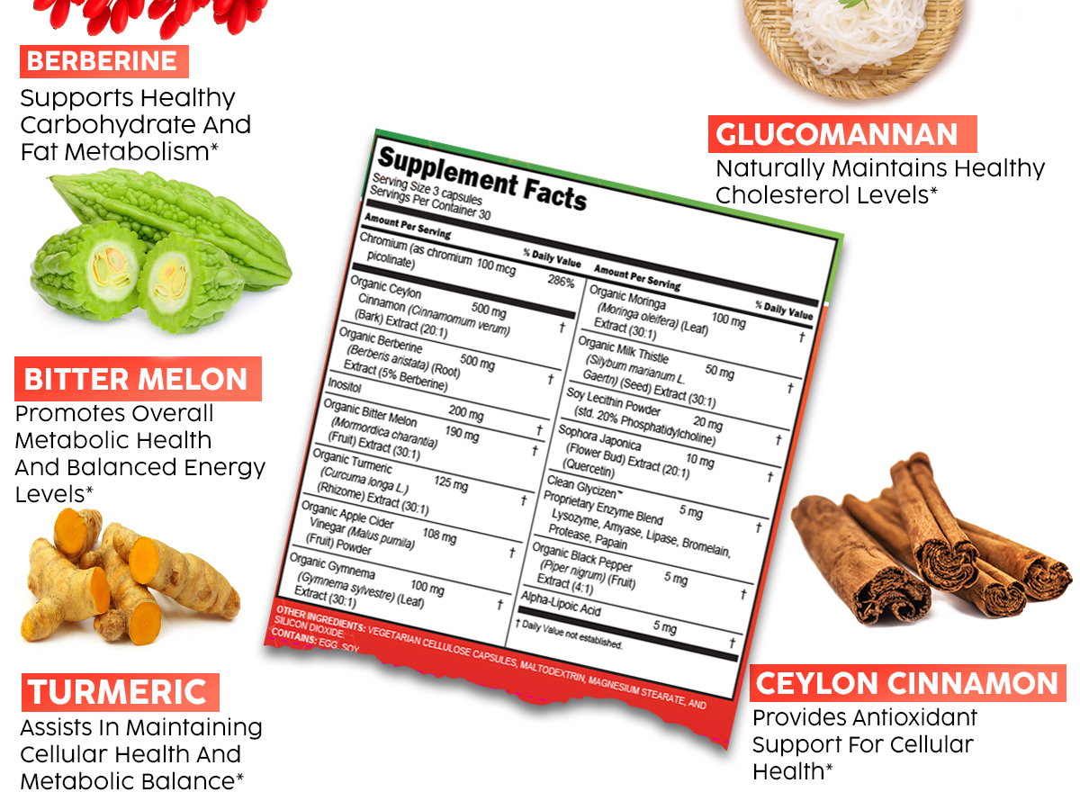 Clean Nutra Berberine and Ceylon Cinnamon Supplement Bitter Melon Glucomannan Gymnema Sylvestre Chromium Moringa Milk Thistle Turmeric Apple Cider Vinegar Digestive Enzymes Inositol Pills 90 Capsules