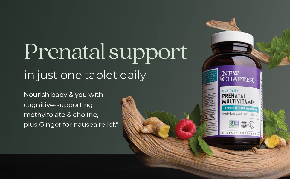 New Chapter One Daily Prenatal Multivitamin, 60 Count