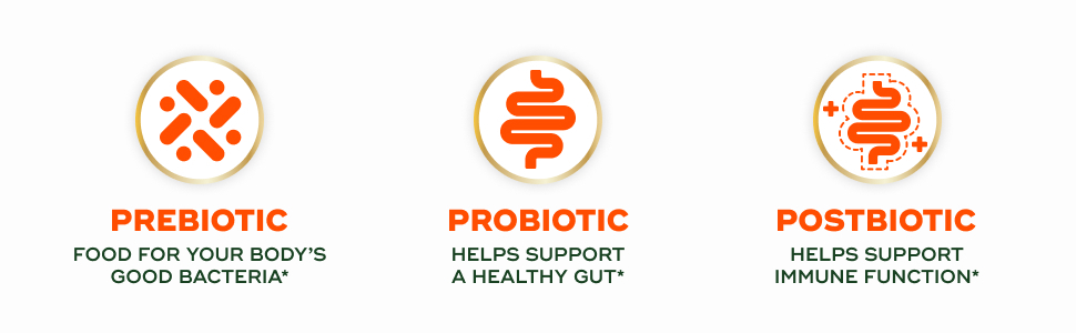 Align Probiotic, 3-in-1 Biotic Gummies, Prebiotic + Probiotic + Postbiotic, #1 Doctor Recommended Probiotic Brand‡, Helps Relieve Occasional Bloating*, BlackBerry Flavor, 50 Gummies