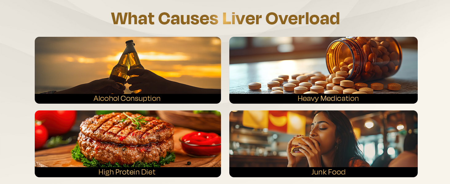 Auric Liver Detox Supplement | 20 Tablets Fizzy Water with 10 Ayurvedic Herbs | Clinically Researched Therapeutic Ingredients | Drop, Dissolve, Fizz, Drink | Liv 365