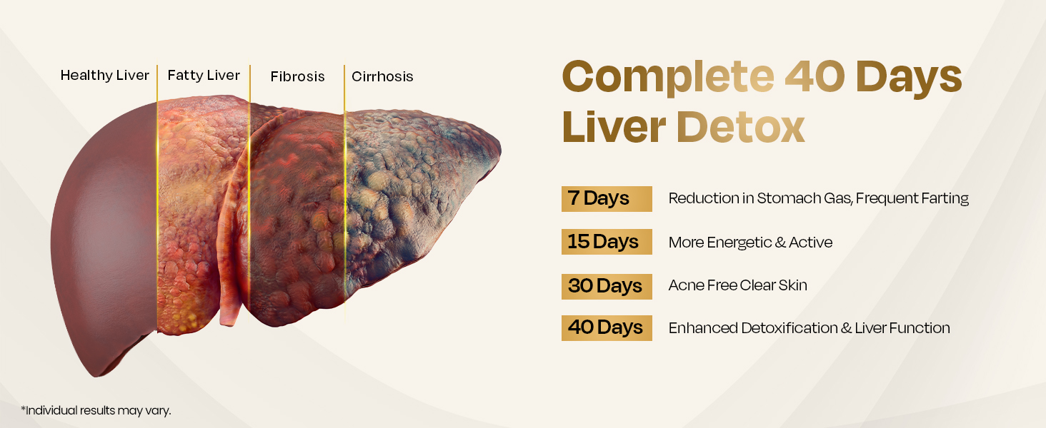 Auric Liver Detox Supplement | 20 Tablets Fizzy Water with 10 Ayurvedic Herbs | Clinically Researched Therapeutic Ingredients | Drop, Dissolve, Fizz, Drink | Liv 365