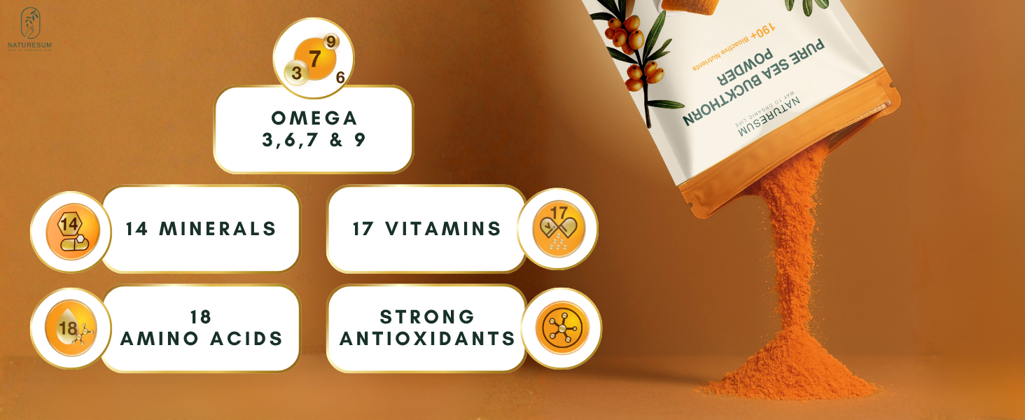 Naturesum Central Asian Sea Buckthorn Berry Powder 100% Organic (100g) Rich in Omega 3, 6, 7, 9, Vitamin C, E & 18 Amino Acid, Strong Antioxidant for Skin Glow, Immunity, Gut & Heart Health