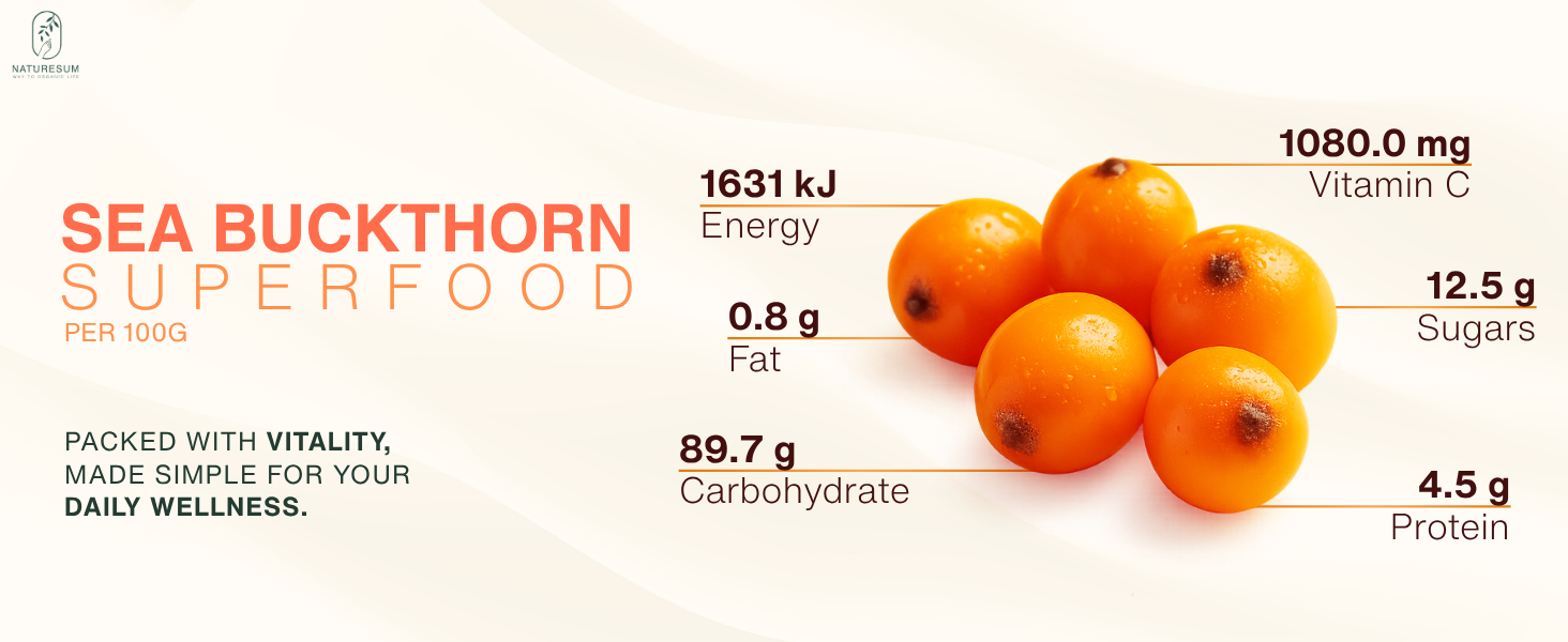 Naturesum Central Asian Sea Buckthorn Berry Powder 100% Organic (100g) Rich in Omega 3, 6, 7, 9, Vitamin C, E & 18 Amino Acid, Strong Antioxidant for Skin Glow, Immunity, Gut & Heart Health