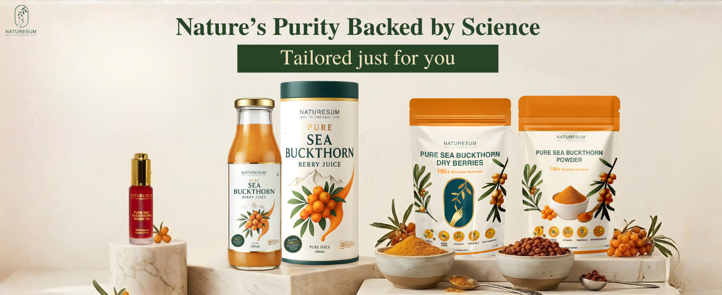 Naturesum Central Asian Sea Buckthorn Berry Powder 100% Organic (100g) Rich in Omega 3, 6, 7, 9, Vitamin C, E & 18 Amino Acid, Strong Antioxidant for Skin Glow, Immunity, Gut & Heart Health