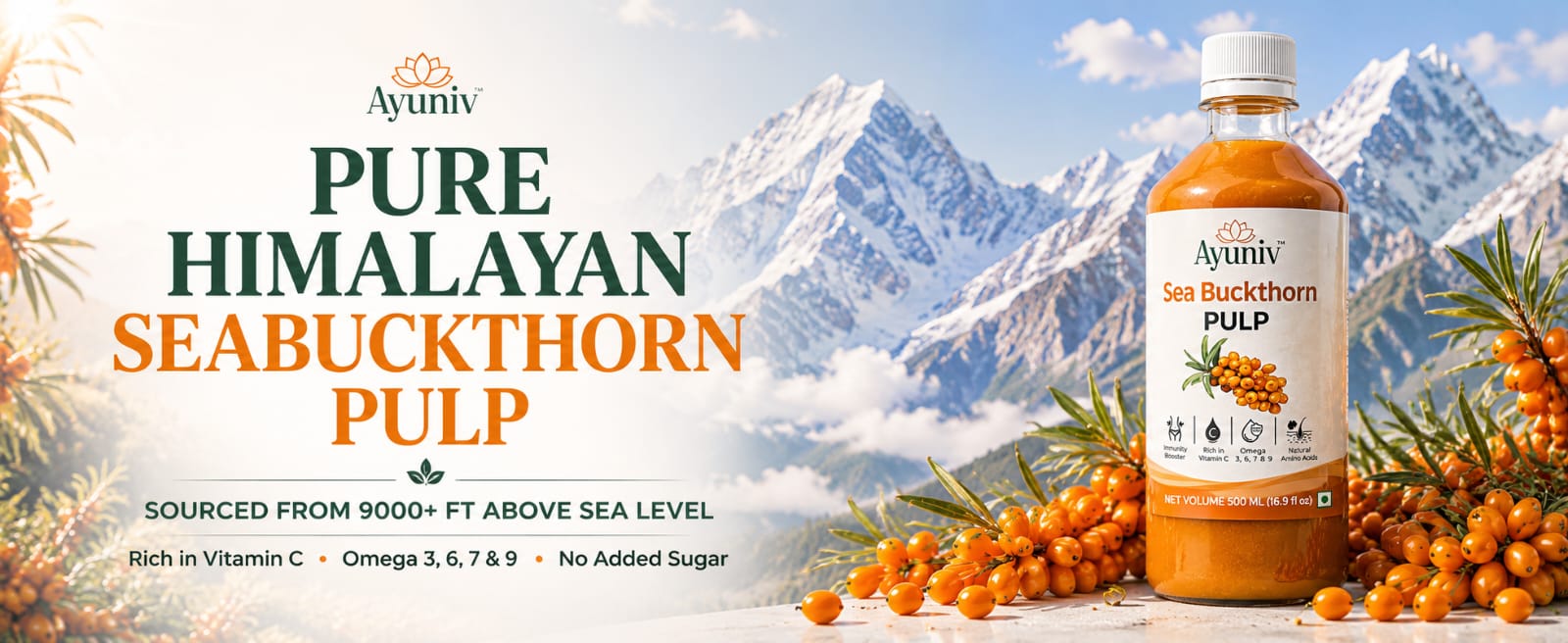Ayuniv Himalayan Sea Buckthorn Juice 1000ml | Omega 3 6 7 9 | Vitamin C Rich | Natural Antioxidant Drink | Supports Immunity, Gut Health, Skin & Hair | No Added Sugar (500ml * 2)
