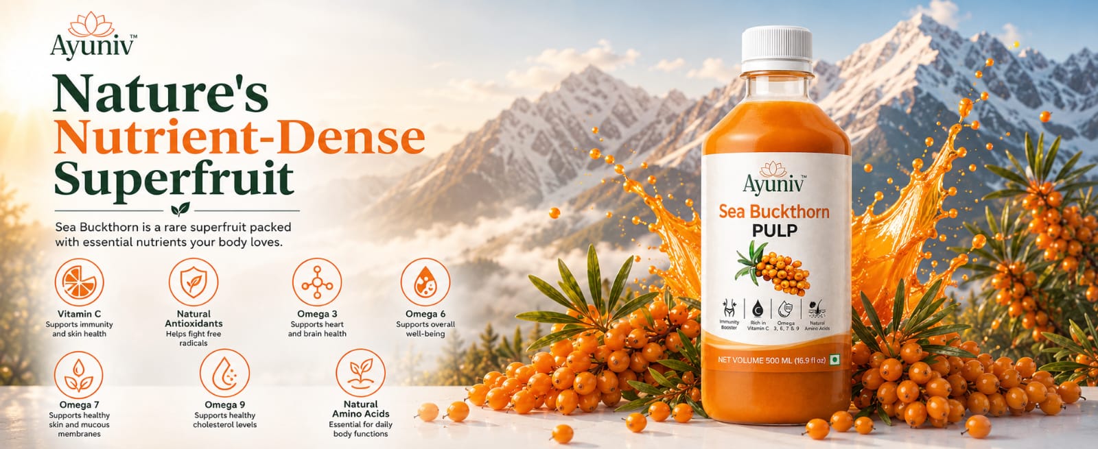 Ayuniv Himalayan Sea Buckthorn Juice 1000ml | Omega 3 6 7 9 | Vitamin C Rich | Natural Antioxidant Drink | Supports Immunity, Gut Health, Skin & Hair | No Added Sugar (500ml * 2)