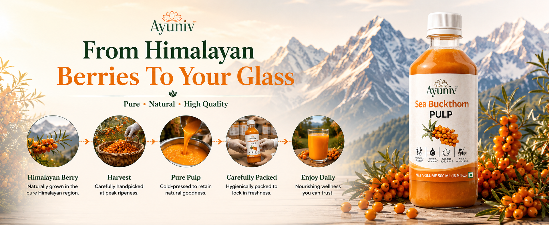 Ayuniv Himalayan Sea Buckthorn Juice 1000ml | Omega 3 6 7 9 | Vitamin C Rich | Natural Antioxidant Drink | Supports Immunity, Gut Health, Skin & Hair | No Added Sugar (500ml * 2)