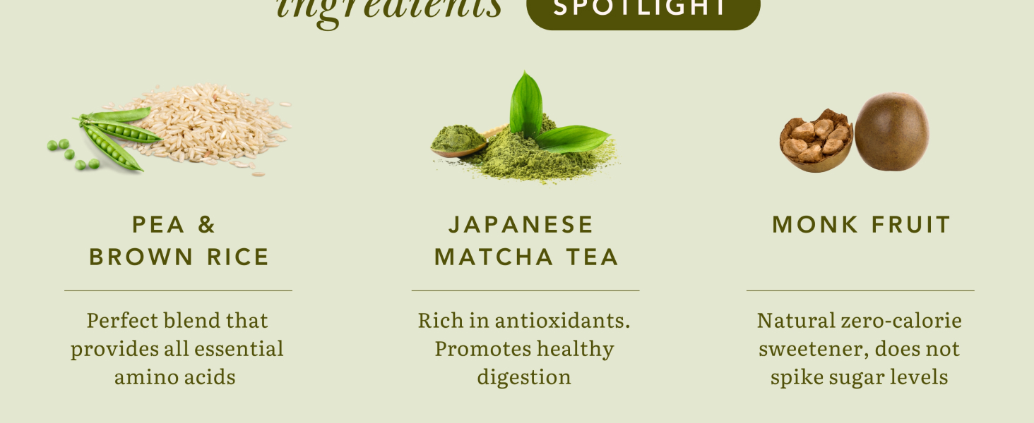 Earthful Honest Plant Protein | 24g Protein/Serving & 4.9g BCCAs | For Weight Management, Energy, Muscle Support & Recovery | Made with Pea & Brown Rice | Japanese Matcha - 468g