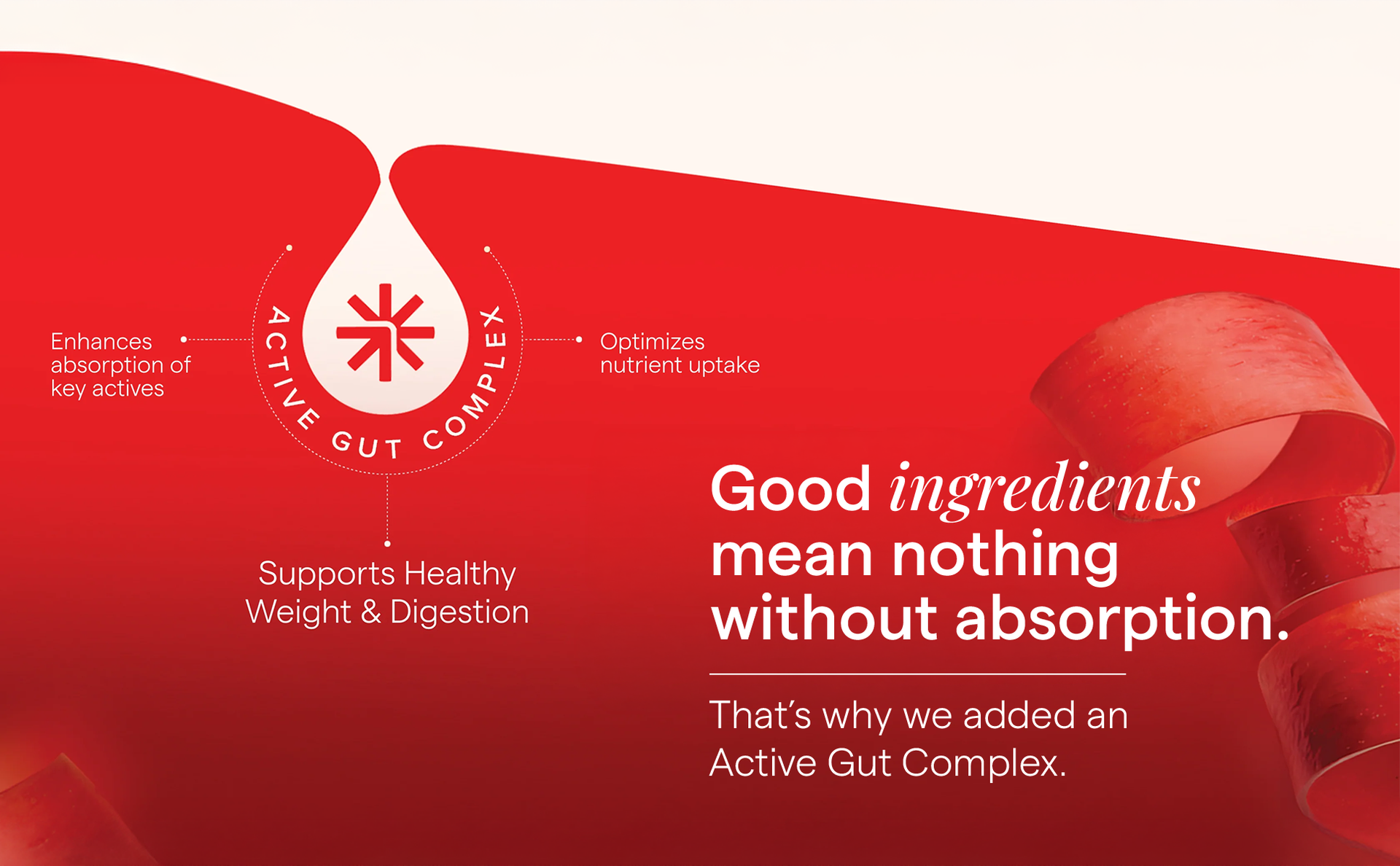 The Good Bug Apple Cider Vinegar Effervescent with Mother - 60 Tablets | Vit B6 & B12 | Buy2Get2FREE | Boosts Metabolism, Controls Cravings | 500mg ACV, 500mg Garcinia | No Added Sugar, No Maltodextrin