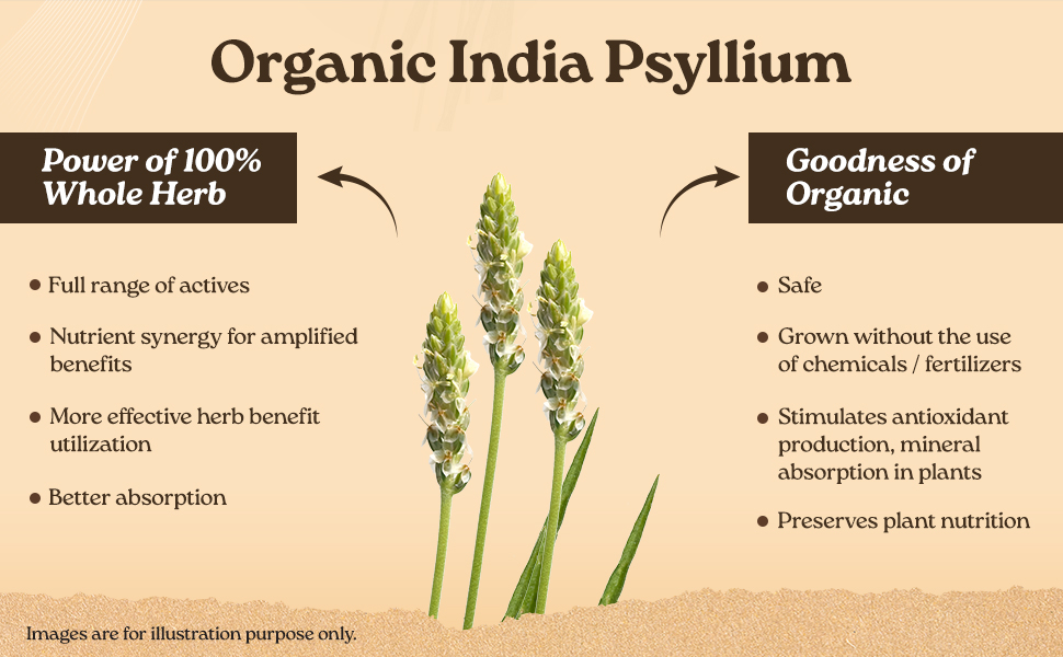 A TATA Product - Organic India Sat Isabgol Psyllium Whole Husk Powder - 100g, With Dietary Fiber, Supports Heart Health & Digestive System, Gluten Free, Non-GMO Project Verified, NPOP & USDA Certified
