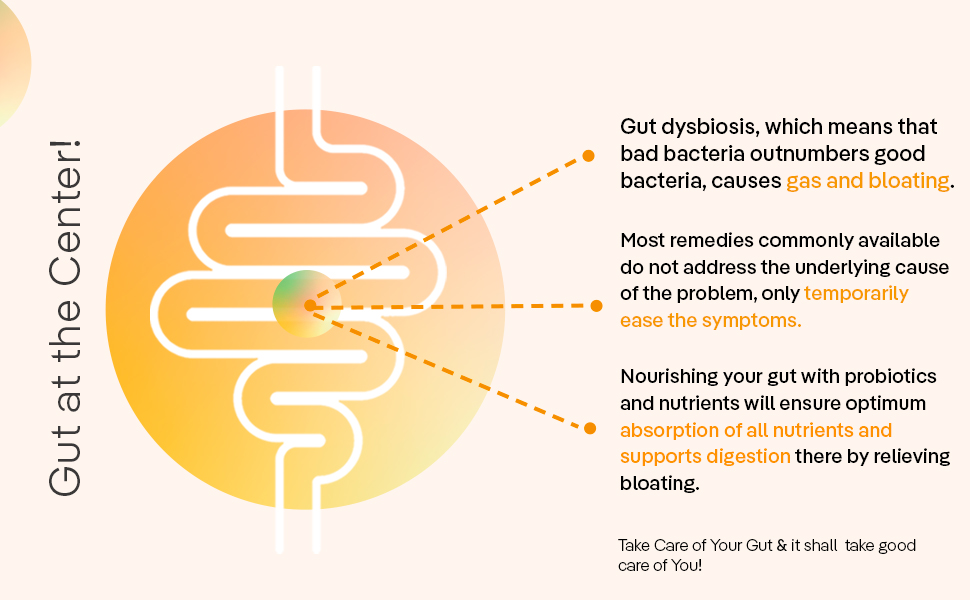 The Good Bug Bye Bye Bloat Supergut Powder For Gut Health & Strong Digestion | Pre & Probiotic Supplement | Helps With Bloating, Gas & Heartburn | 2.5 Billion Cfu Of Clinically Proven | 90 Days Pack